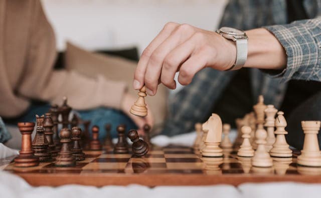 How Intelligence Grows